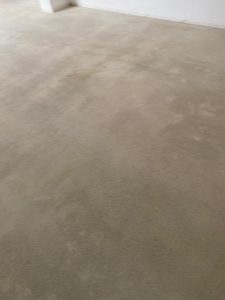 PHOTO-2021-02-07-13-46-12 2